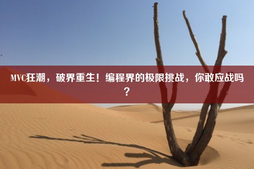 MVC狂潮，破界重生！编程界的极限挑战，你敢应战吗？