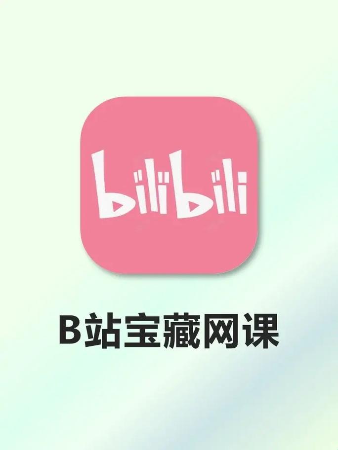 "B站风云：另类视角下的网络狂欢"