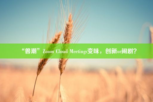 “兽潮”Zoom Cloud Meetings变味，创新or闹剧？