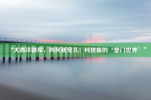 “大西洋彼岸，网民新宠儿：科技版的‘楚门世界’”