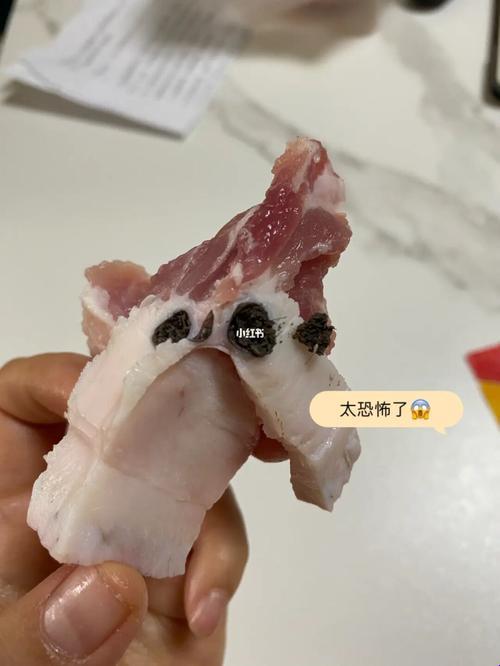 “肉质疑云：食安界的‘新时尚’？”