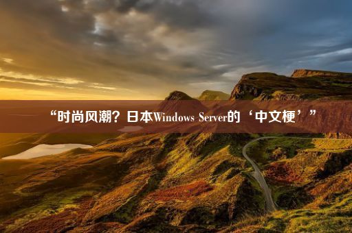 “时尚风潮？日本Windows Server的‘中文梗’”