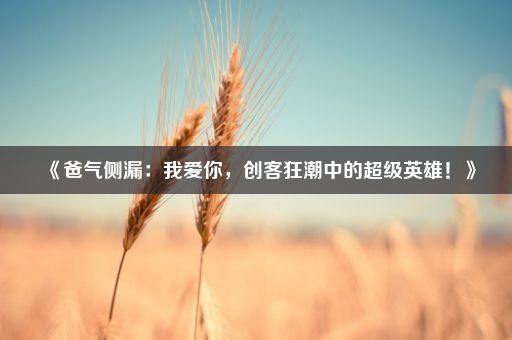 《爸气侧漏：我爱你，创客狂潮中的超级英雄！》