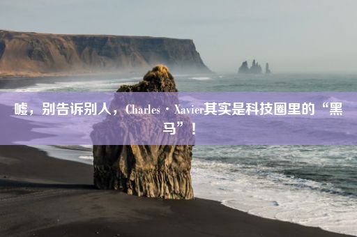 嘘，别告诉别人，Charles·Xavier其实是科技圈里的“黑马”！