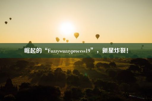 崛起的“Fuzzywuzzyprocess19”，新星炸裂！