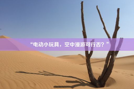 “电动小玩具，空中漫游可行否？”