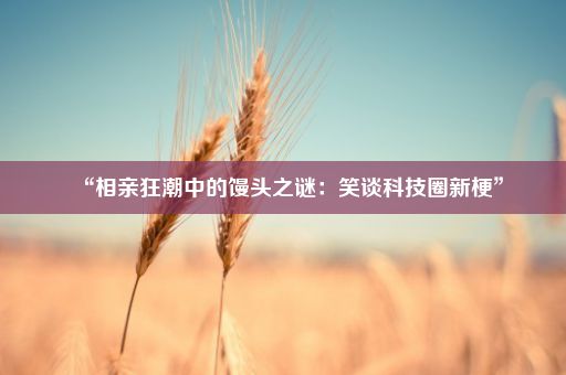 “相亲狂潮中的馒头之谜：笑谈科技圈新梗”