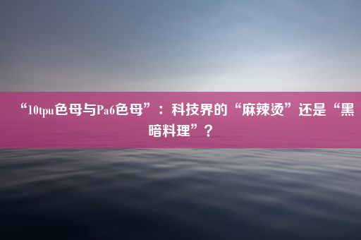 “10tpu色母与Pa6色母”：科技界的“麻辣烫”还是“黑暗料理”？