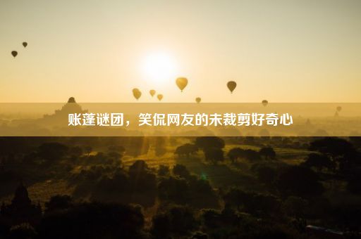 账蓬谜团，笑侃网友的未裁剪好奇心