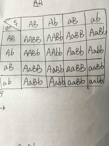 《AABB与AAAA的差异：科技界的“辣条”大比拼》