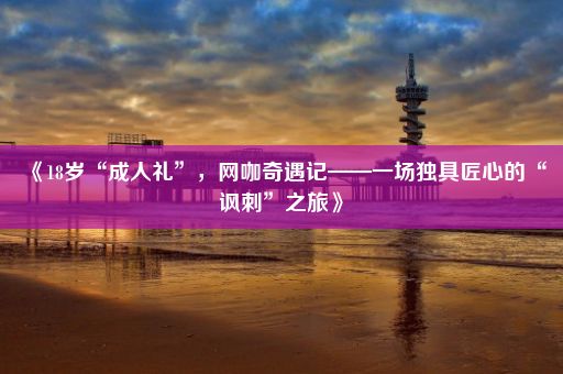 《18岁“成人礼”，网咖奇遇记——一场独具匠心的“讽刺”之旅》