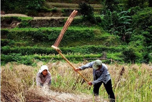 《科技江湖怪谈：三猴儿传奇与神秘媳妇》