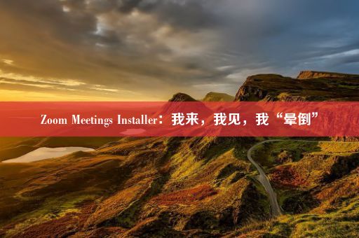 Zoom Meetings Installer：我来，我见，我“晕倒”