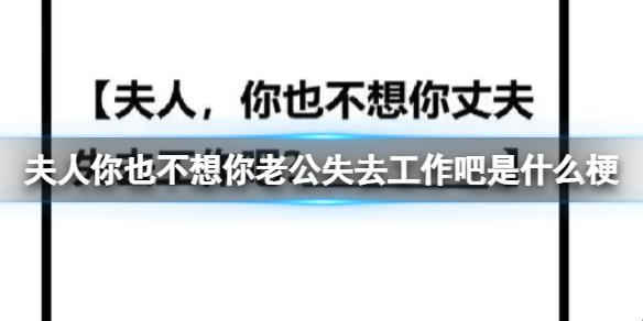 科技圈里妻子心慌慌，创新逆袭炒热饭碗保卫战