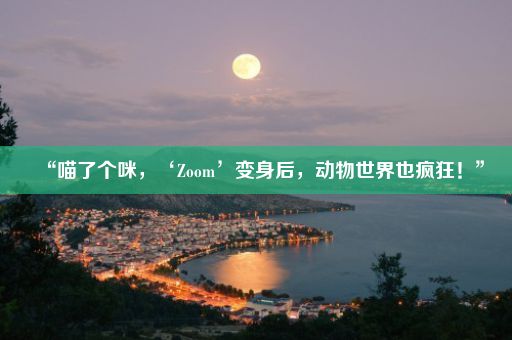 “喵了个咪，‘Zoom’变身后，动物世界也疯狂！”