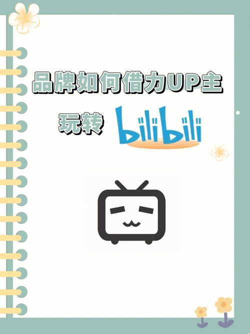 “B站必火推广，真的能突破记录？”